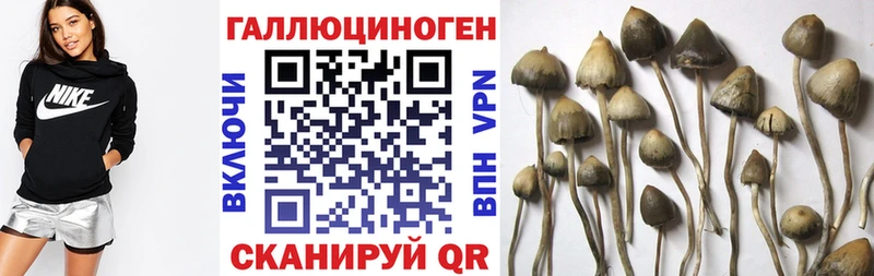 Псилоцибиновые грибы Psilocybine cubensis  MEGA маркетплейс  Слободской 